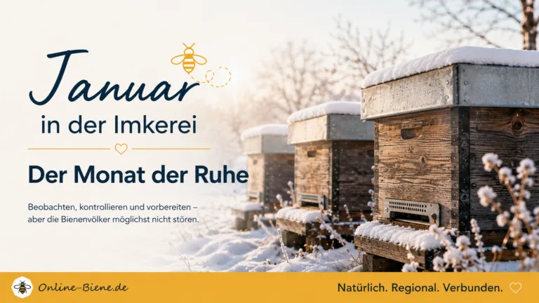 Imkern im Januar auf Online Biene
