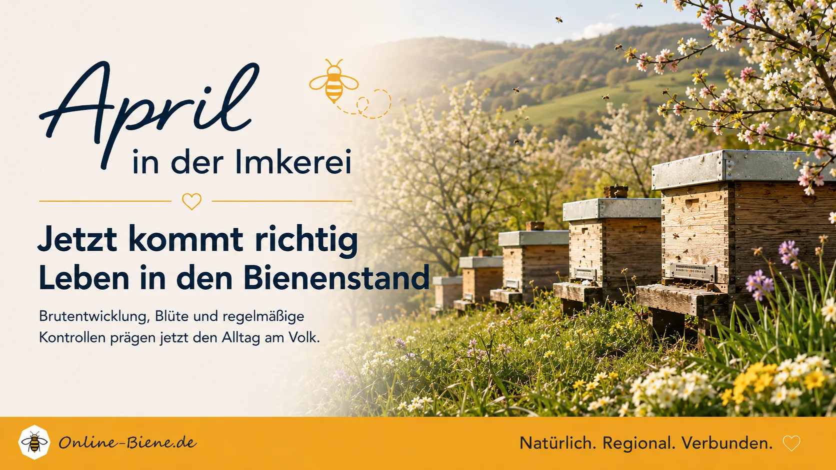 Imkern im April