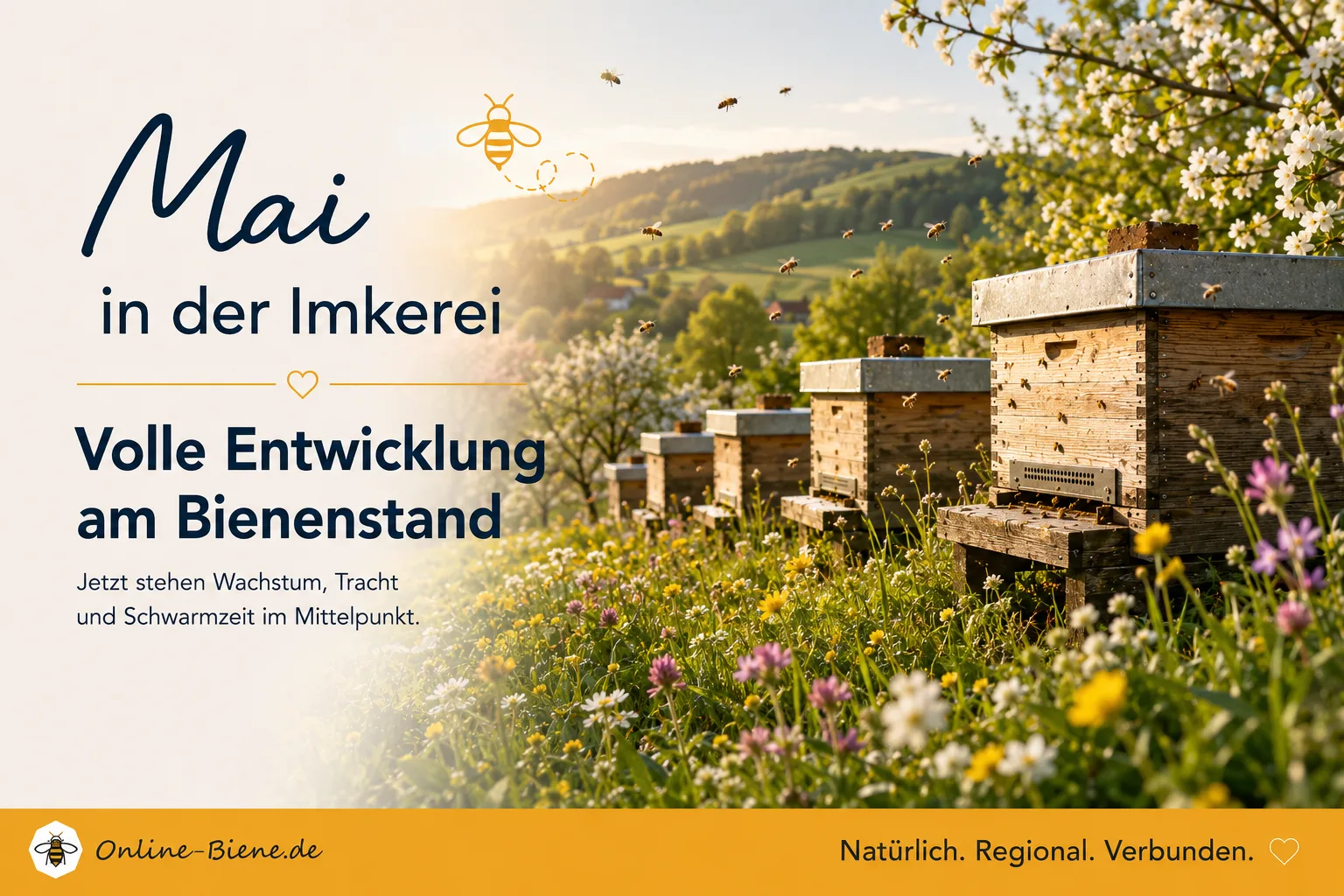 Imkern im Mai