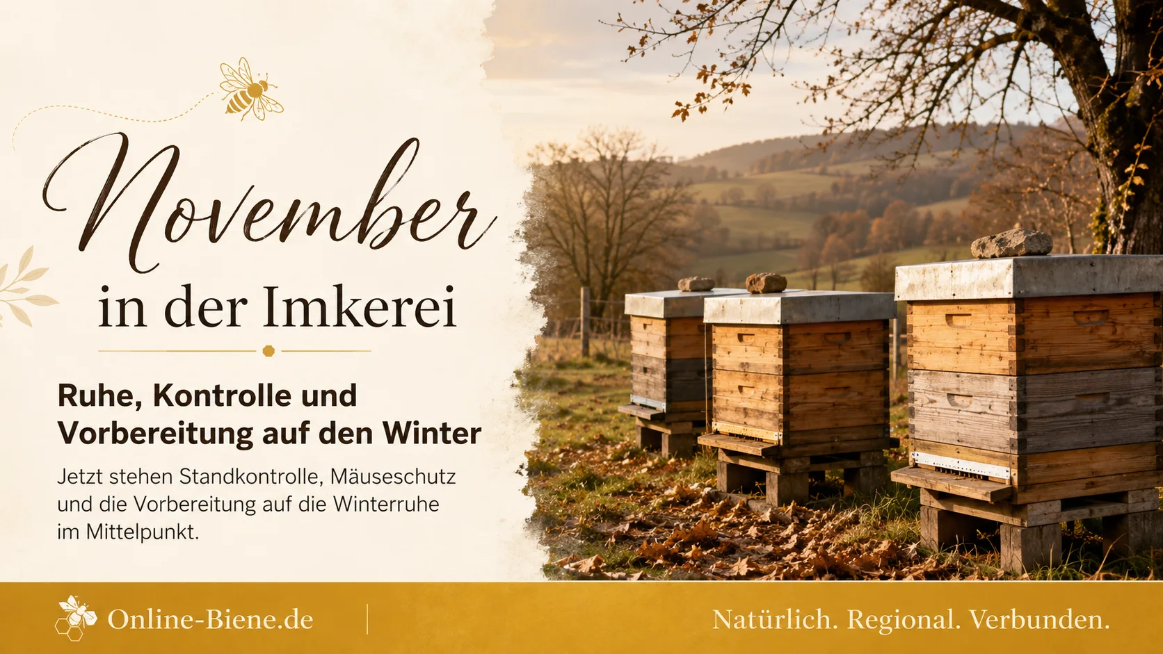Imkern im November