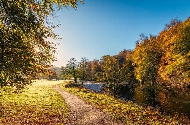 Imkern im Oktober