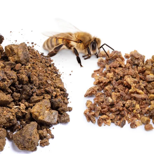 Propolis