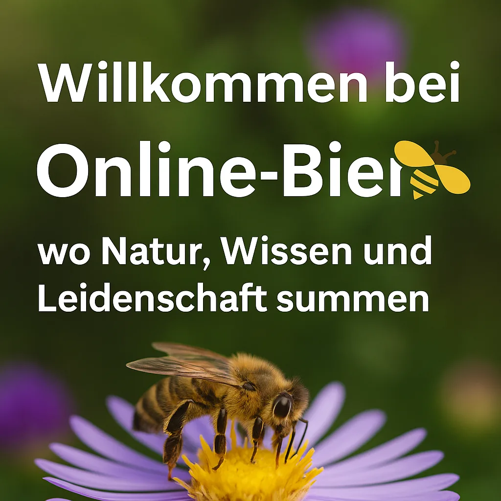 Biene auf Honigwabe im Sonnenlicht – Symbolbild für Online-Biene.de, Themen: Honig, Natur, Imkerei und Leidenschaft.